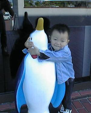 kazu2.jpg